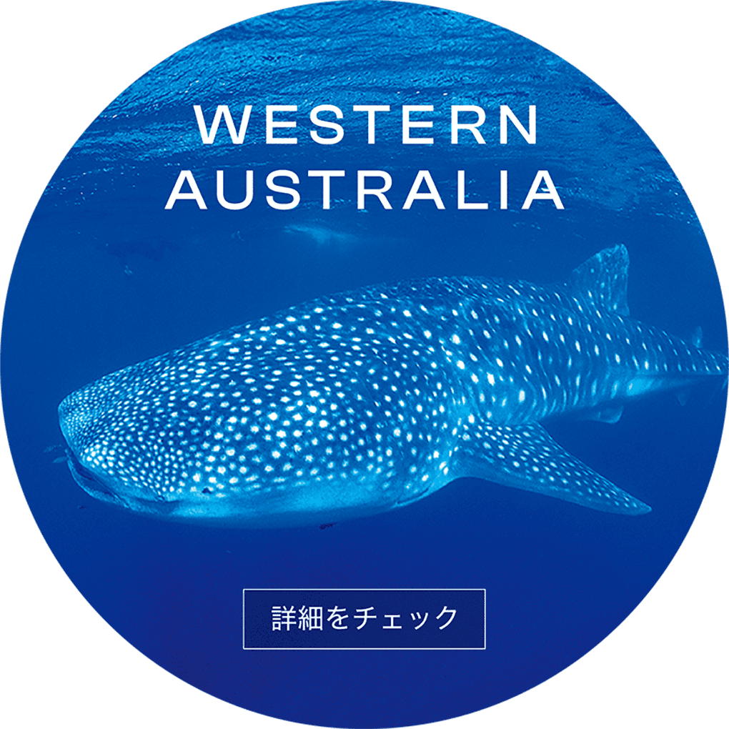 Travel Western Australia