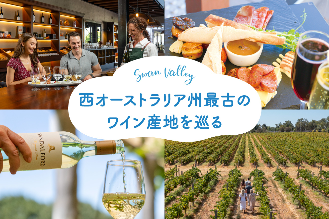 【ANA Travelerで行く】スワンバレーのワイナリー巡り