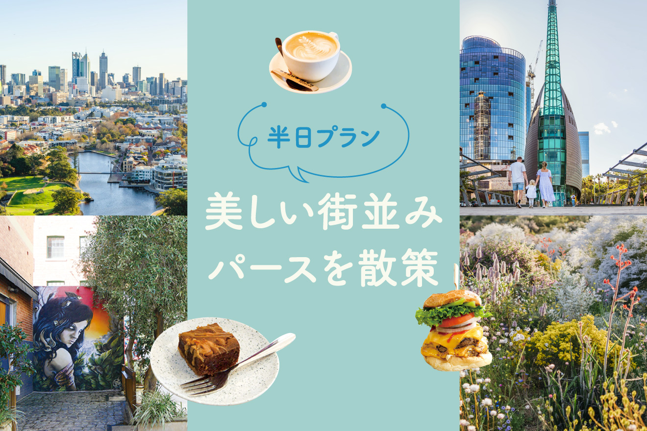 【のんびり〜ばぶる！パース推薦】パースの街を歩く半日プラン