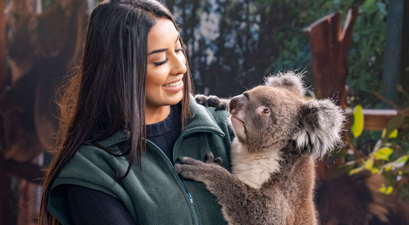 カバシャムワイルドライフパーク