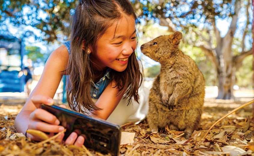 パース満喫プラン