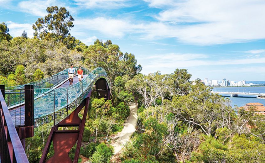 パース満喫プラン