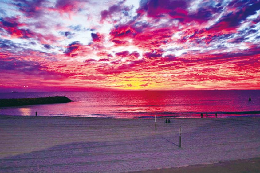 パース満喫プラン