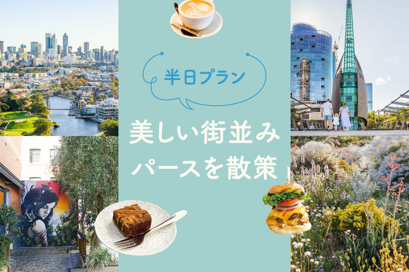 パース半日プラン
