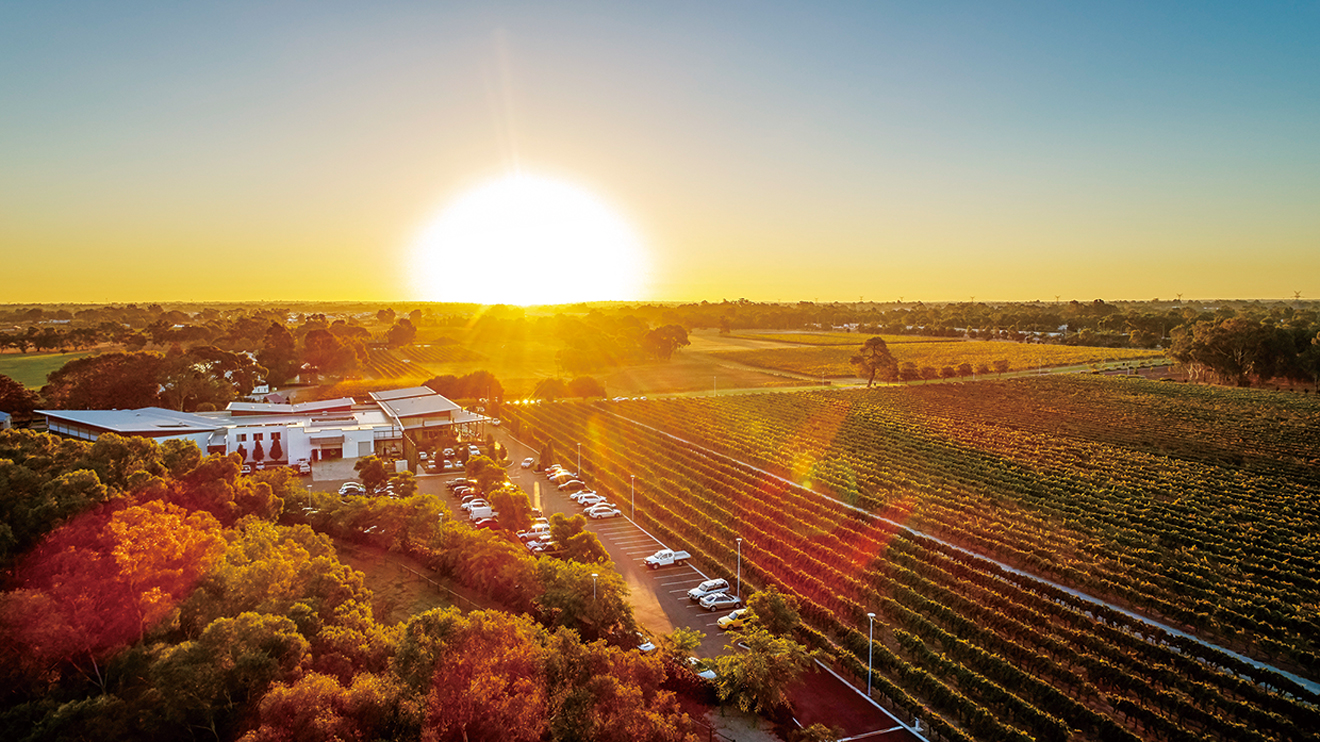 スワンバレー巡り
