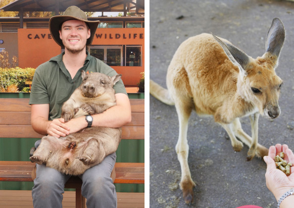 カバシャムワイルドライフパーク