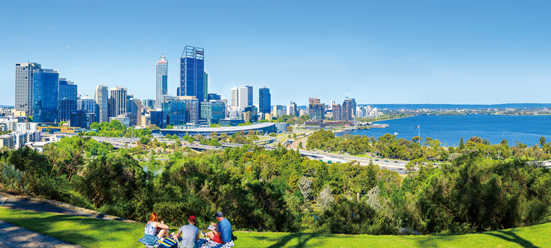 キングスパーク