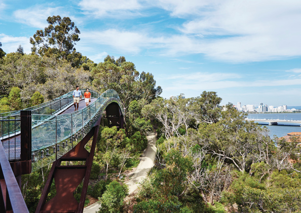 キングスパーク