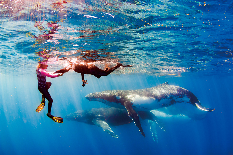 ニンガルーリーフ