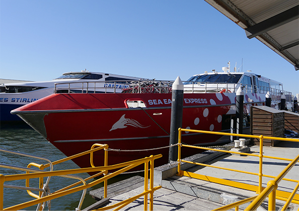 ロットネスト島