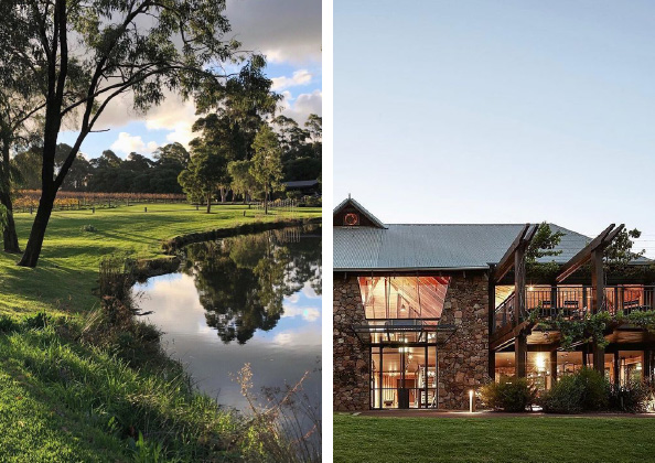 ヴァス・フェリックス